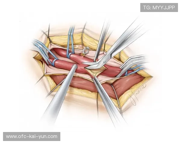 赫罗纳纵向推进迅速切开整片中轴区